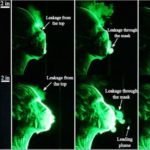 Bu Deney, Yüz Maskelerinin COVID-19’u Nasıl Durdurduğunu Gösteriyor