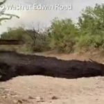 Dumanı tüten Black Mud River Arizona