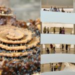 bee-spiral_vs_guggenheim[1]