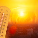 2020, Kayıtlardaki En Sıcak Yıl ile Berabere Kaldı
