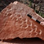 Çöken Bir Uçurum, Büyük Kanyon’daki 313 Milyon Yıllık Ayak İzi Fosillerini Ortaya Çıkardı