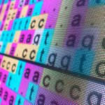 Karmaşık Matematik Problemlerini Çözmek İçin Programlanabilen DNA Tabanlı Yonga