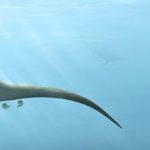 Wight Adası’nda Keşfedilen Yeni Dinozor Türü