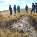 Peru’daki 10 Milyon Yıllık Dev Ağaç Fosili, Antik Geçmişe Yönelik Sürprizler Barındırıyor