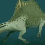 Keşfedilen Dev Miktarda Dinozor Dişi, Spinozorun Gerçekten de Bir Nehir Canavarı Olduğunu Gösteriyor