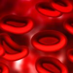 Kan Grubu ile COVID-19 Hassasiyeti Arasında Muhtemel Bağlantı
