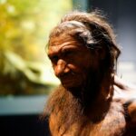 Genomunuzda Neandertal DNA’sı Olabilir