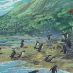 Tüm Penguenlerin Atası, Dünya’nın ‘Kayıp’ 8’inci Kıtası Zelandiya’da Yaşamış