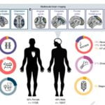 figure-from-diabetes-brain-paper[1]