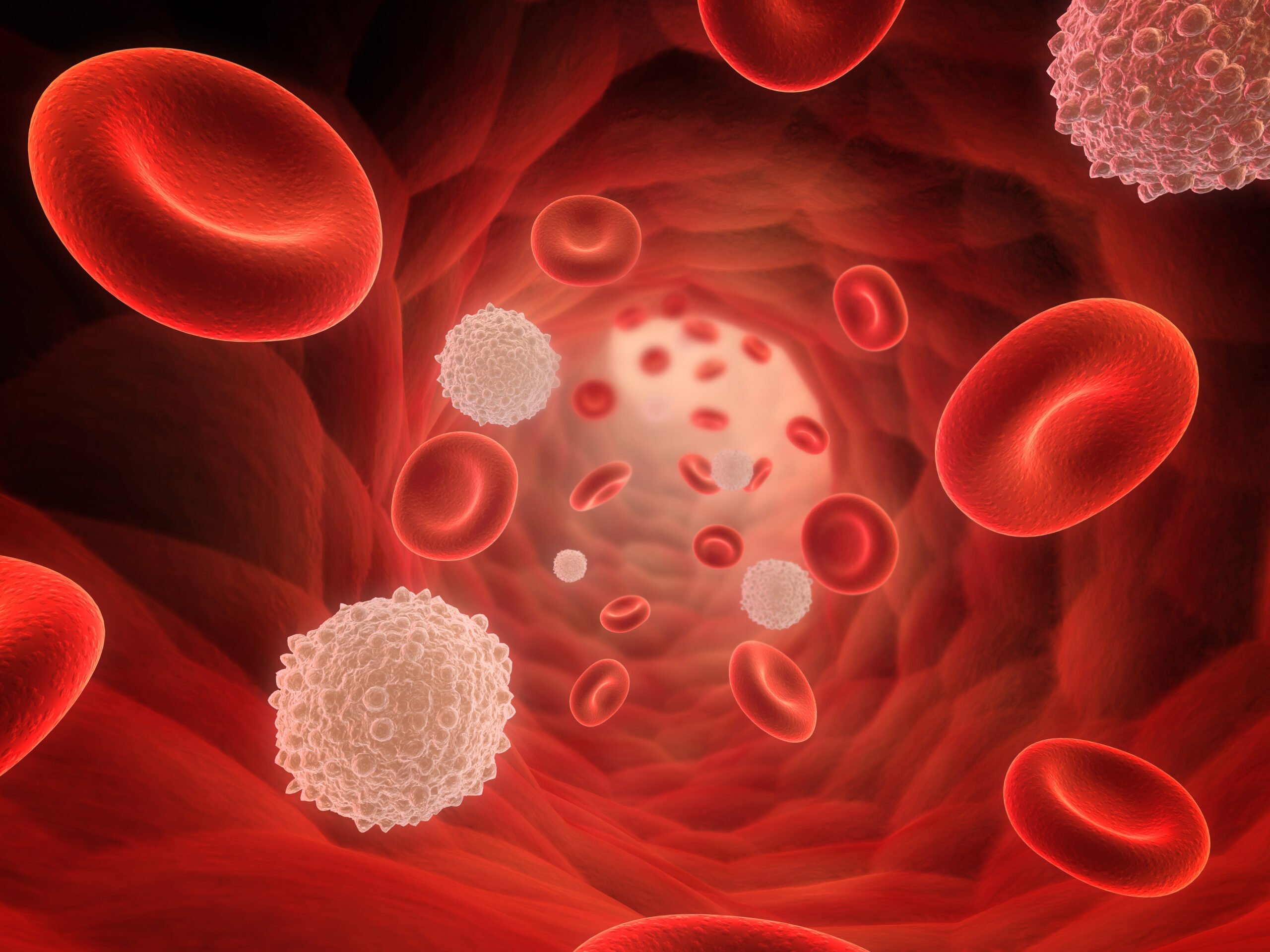 Лейкоцитоз тромбоцитопения. Лейкоциты крови лейкоциты лейкемия. Эритроциты лимфоциты тромбоциты. Кровяные клетки лейкоциты. Тромбоцитопеническая пурпура лимфоциты.