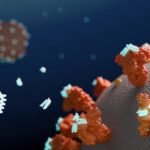 Bilgisayarda Tasarlanan Antivirüs Proteinleri, Laboratuvarda SARS-CoV-2’yi Engelliyor