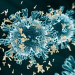 Basit T Hücresi Testi, Vücudun COVID-19’a Verdiği Bağışıklık Tepkisini Gösteriyor