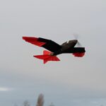 Bu Robot Şahin, Uçarken Şekil Değiştirebiliyor