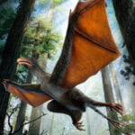 Kuş Boyutundaki Bu İki Dinozor Süzülmüş Fakat Uçamamış