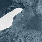 Dünyanın En Büyük Buzdağı, Uzaktaki Bir Penguen Sığınağıyla Çarpışma Yolunda İlerliyor