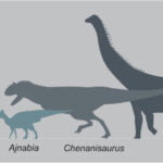 1-s2.0-S0195667120303657-gr2