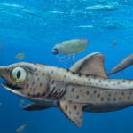 Tarih Öncesi Köpek Balığı, En Büyük Dişlerini Gizlemiş