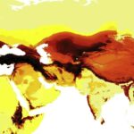 Dünya Çapındaki Arı Türlerinin İlk Haritası