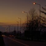 Yapay Gece Işıkları, Doğa Üzerinde Geniş Çaplı Etkiler Meydana Getiriyor