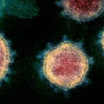 COVID-19 Virüsü, Hücrelere Alternatif Güzergahlar ile Bulaşabiliyor