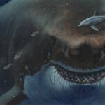 Dev Mega Köpek Balıklarının Dişleri Nasıl İşleyip Evrimleşmişti?