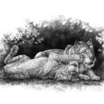 Kılıç Dişli Kaplanın Gizemli Aile Yaşamı