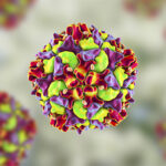 Virüsleri Bulaşıcı Hale Getiren Gizem Ortaya Çıkarıldı