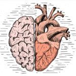 Kalp Sorunları Beyni de Etkiliyor