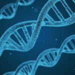 Tükettiğimiz Besinlerin DNA’sını da Sindiriyor muyuz?