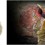 Antik Deniz Kabuğu, 18.000 Yıl Sonra Tınlıyor