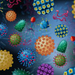 İnsan Bağırsağında 140.000’den Fazla Virüs Türü Yaşıyor