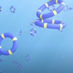 Ölüm, Kimyasal Evrimde Karmaşıklığı Mümkün Kılıyor