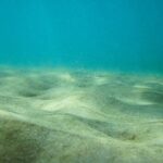 Deniz Tabanının Derinliklerinde Yaşayan Mikroplar, Radyoaktif Süreçlerin Yan Ürünleriyle Hayatta Kalıyor