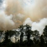 Orman Yangınından Çıkan İnce Parçacıklı Maddeler, Başka Kaynaklı Kirleticilerden Daha Zararlı