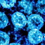 Koronavirüs Evrimleşerek Aşılardan Kaçıyor