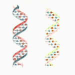 70.000 Omurgalı Türün Genom Okuma Projesinde İlk Keşifler