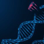 Yeni Araştırmaya Göre DNA Mutasyonları Rastgele Olmayabilir