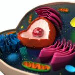 Moleküler Biyologlar 3 Milyar Yıl Geriye Gitti