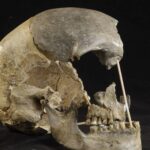 Neandertal Atası, Çağdaş İnsanın En Eski Genomunu Ortaya Çıkarıyor