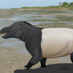 Fosil İzler, Memelilerin Sahil Şeridindeki En Eski Kanıtını Gösteriyor