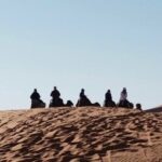 Sahra Çölü, İnsanlar Gelene Kadar Yemyeşilmiş