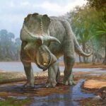 Yeni Tanımlanan Boynuzlu Dinozor, Türünün En Eski Örneği