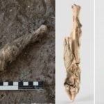 1.600 Yıllık Koyun Mumyası DNA’sı, Tarihe Hayat Veriyor