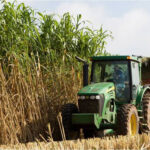 Çevre Dostu Biyoplastikler