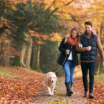 İnsan vücudu için sağlığın anahtarı hareket mi?