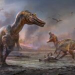 İngiltere’nin Wight Adası’nda Keşfedilen İki Yeni Büyük Dinozor Türü
