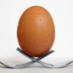 Yumurtanın Şekli İçin Evrensel Bir Formül