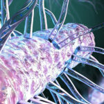 Bakterilerin Gizli Kılları, Doğanın ‘Elektrik Şebekesine’ Güç Veriyor