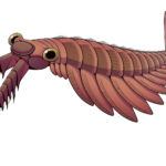 İlk Yırtıcılardan Biri Nasıl Avlanmıştı?