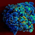 Deneysel mRNA HIV Aşısı, Hayvanlarda İşe Yarıyor